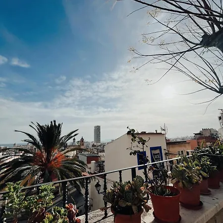 En Casco Antiguo De Apartment Alicante